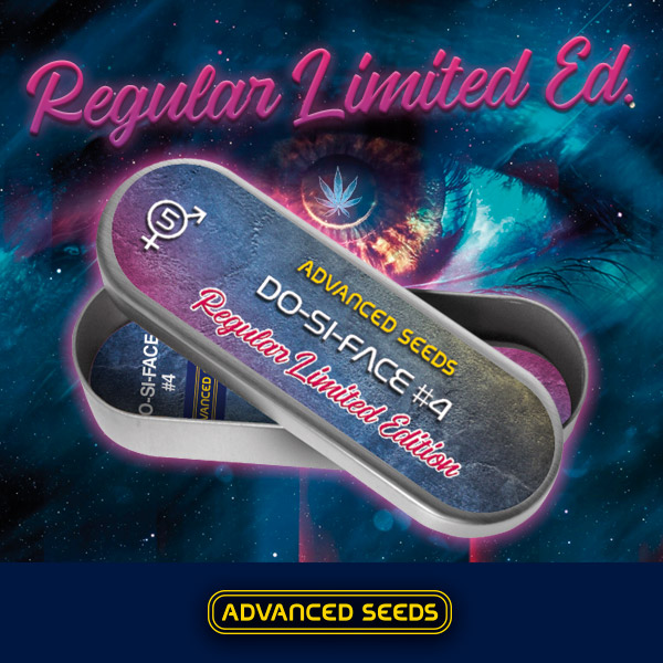 Edicion Especial Do-Si-Dos #4 Reg