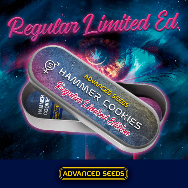Edicion Especial Hammer Cookies Reg