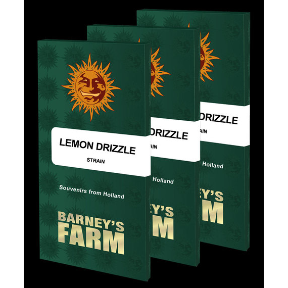 Lemon Drizzle Fem