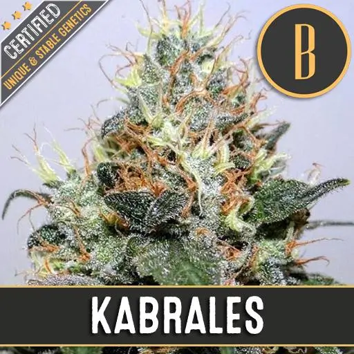 Kabrales Fem