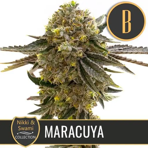 Maracuya Fem
