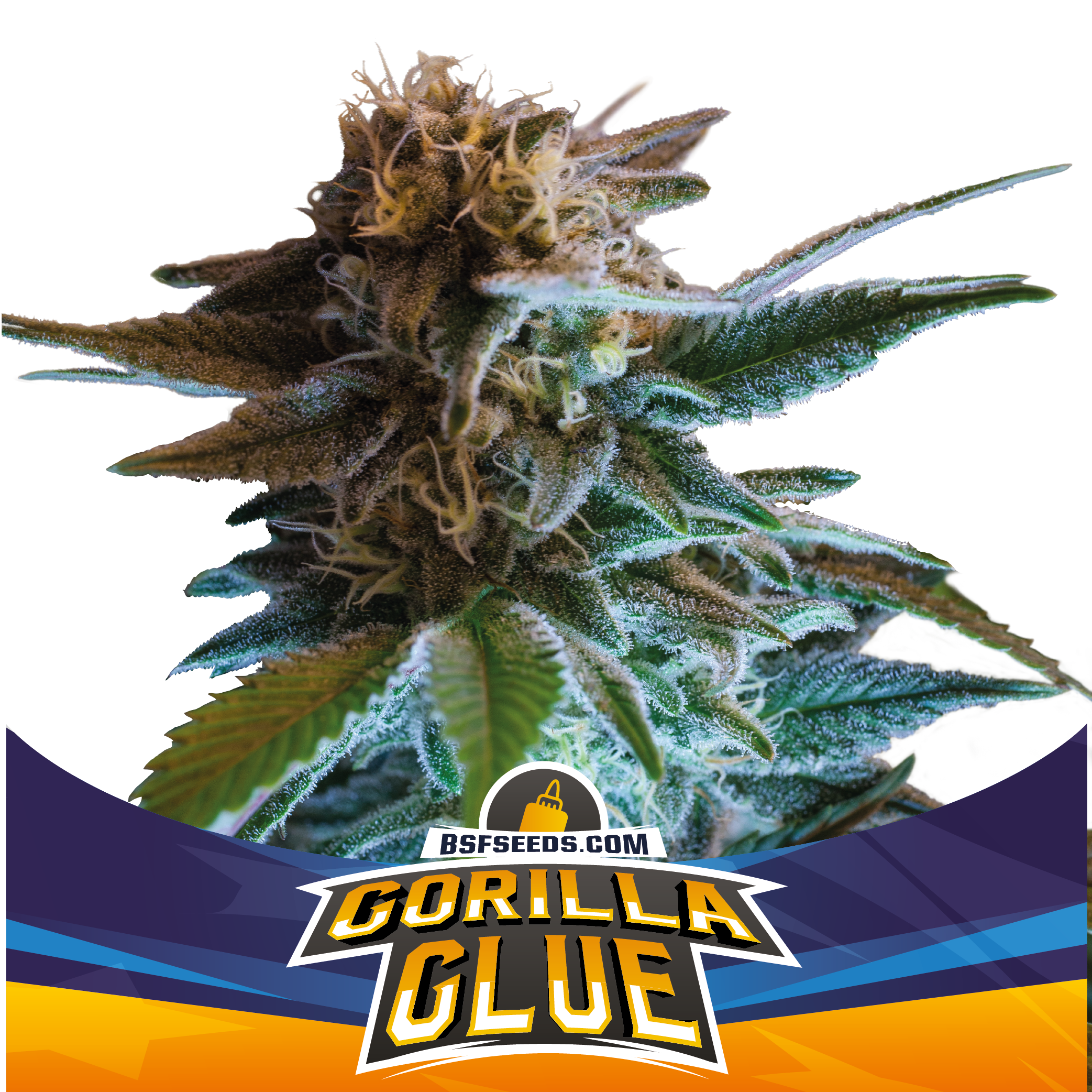 Gorilla Glue Auto