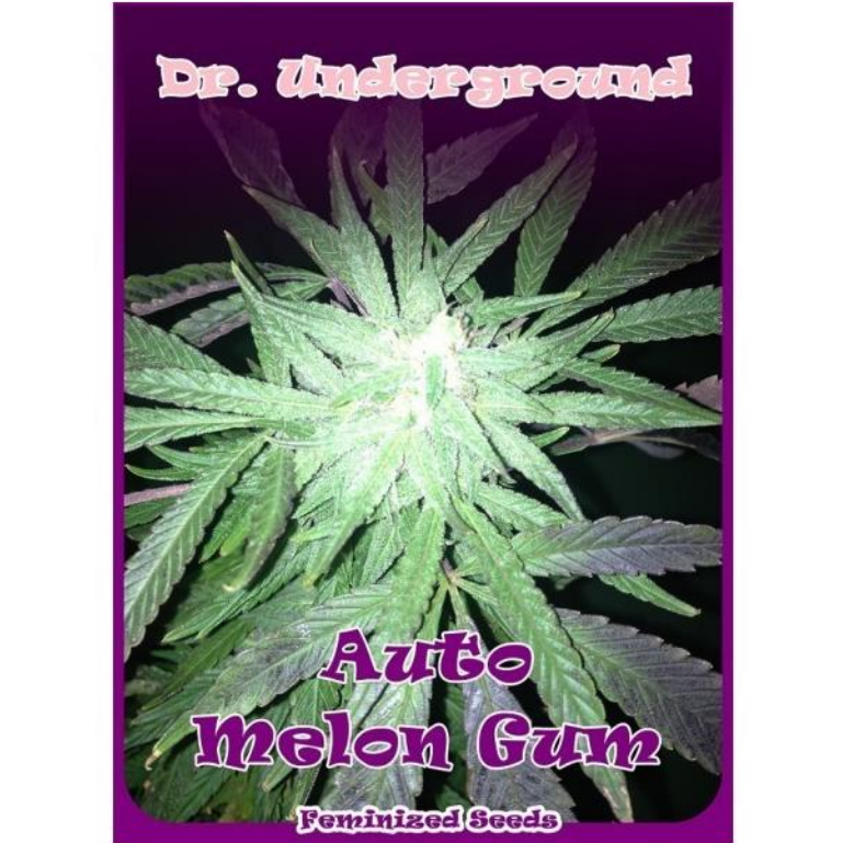 Auto Melon Gum