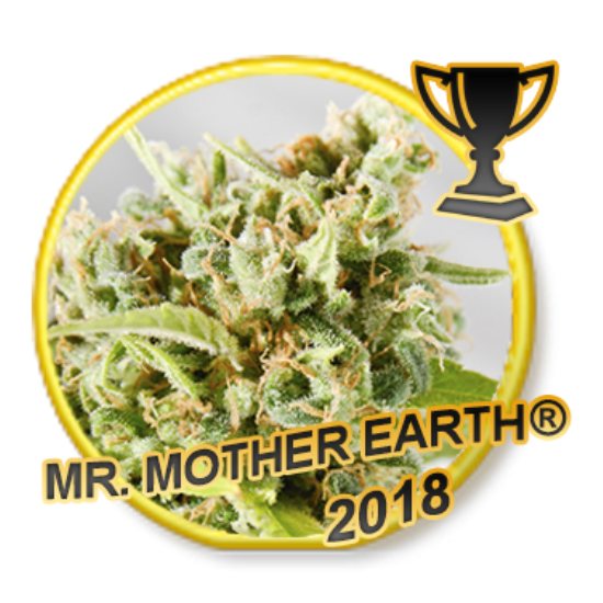 Mr. Mother Earth Fem.