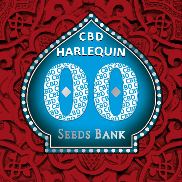 Harlequin CBD Fem