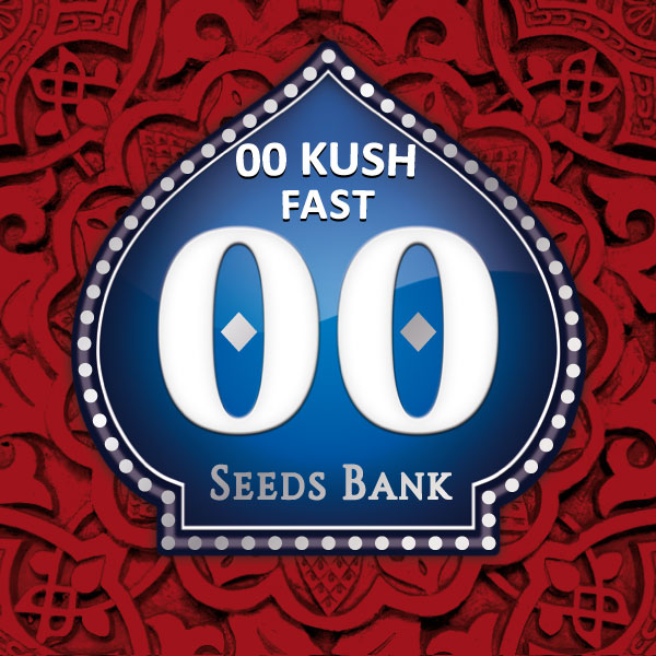 00 Kush Fast Fem