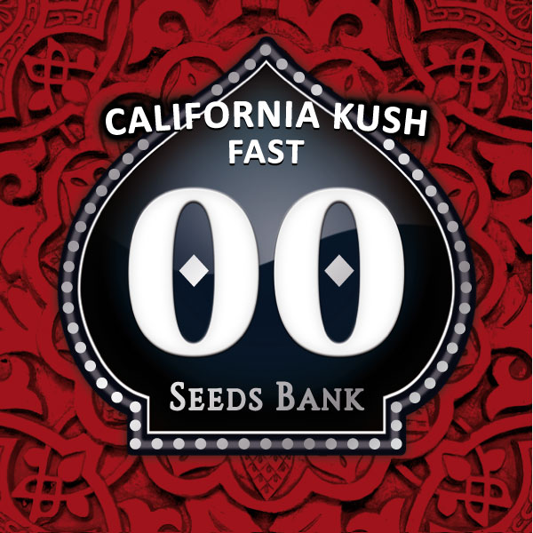 California Kush Fast Fem