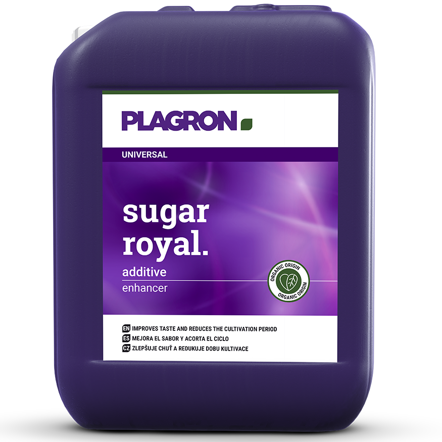 Plagron Sugar Royal - Plagron