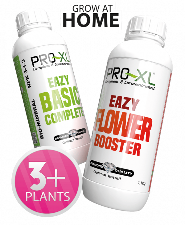 PRO-XL Eazy Pack 1L - Pro-XL