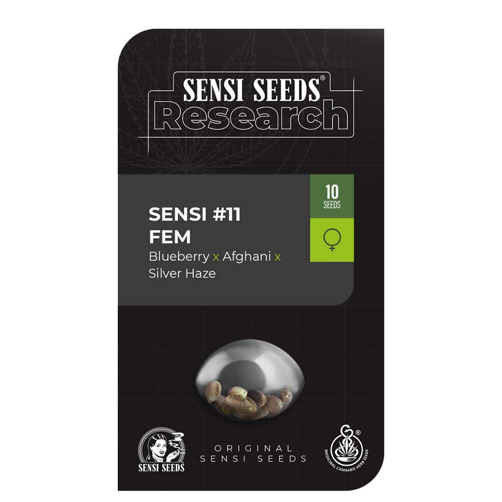Research Sensi #11 Fem