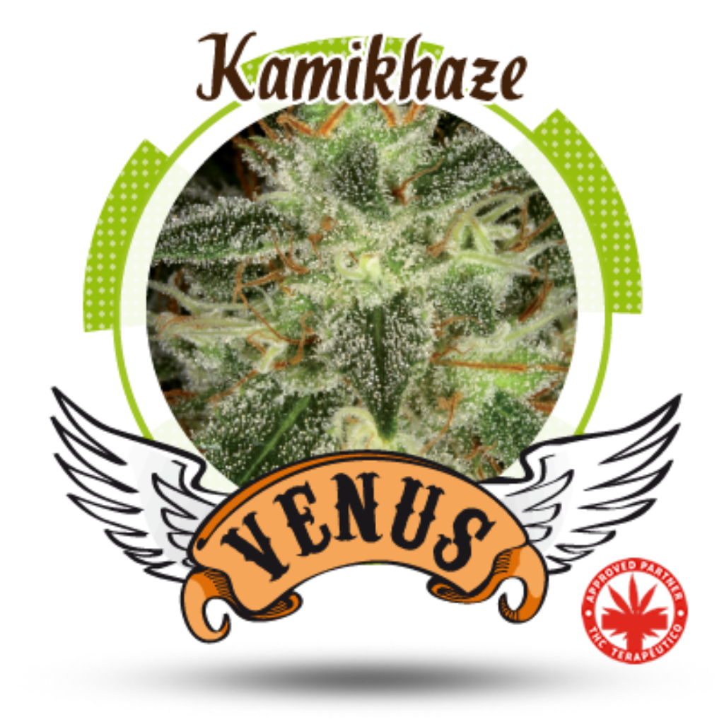 Kamikhaze Fem.