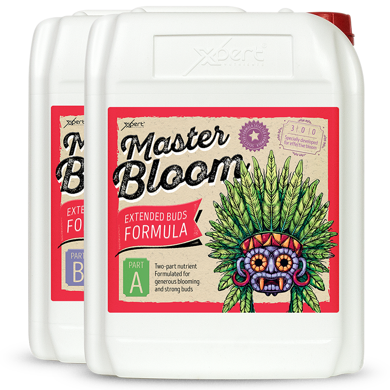 Xpert Nutrients Master Bloom A+B - Xpert Nutrients