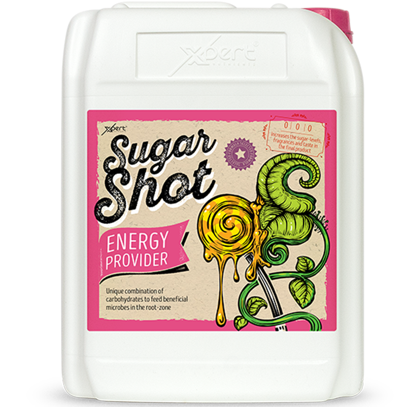 Xpert Nutrients Sugar Shot - Xpert Nutrients