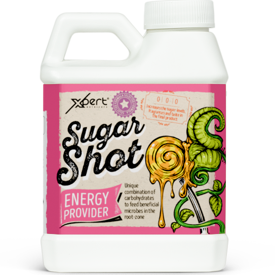 Xpert Nutrients Sugar Shot