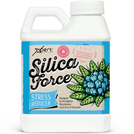 Xpert Nutrients Silica Force