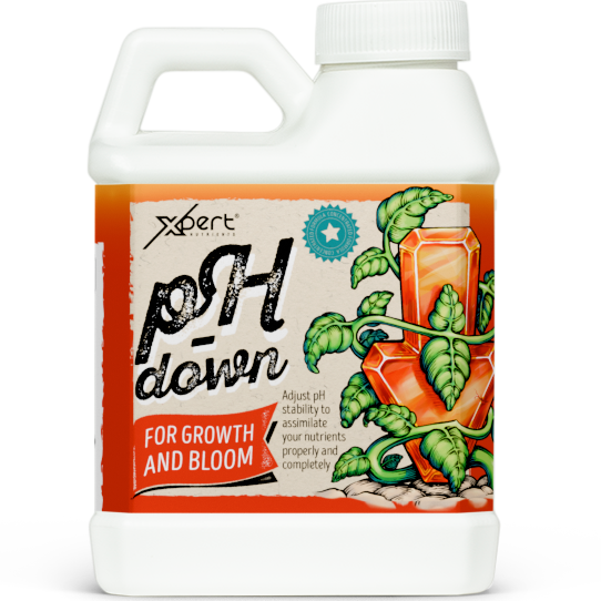 Xpert Nutrients Ph Down
